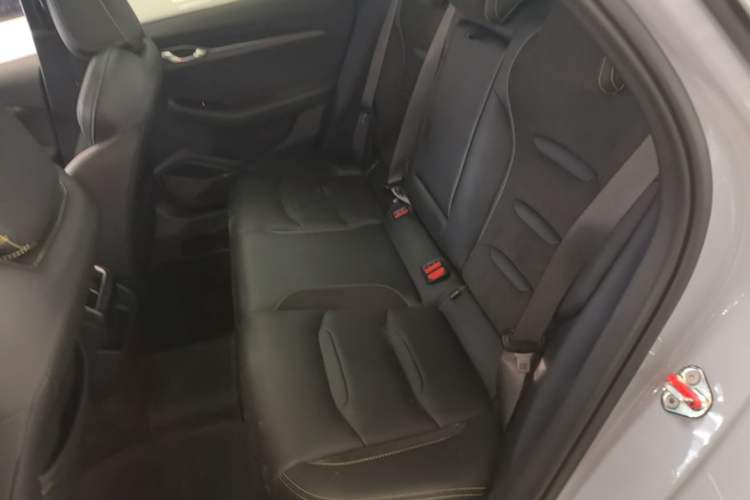 Used Geely Auto Preface 2023 2.0TD Space-Time Edition Left Rear Seat