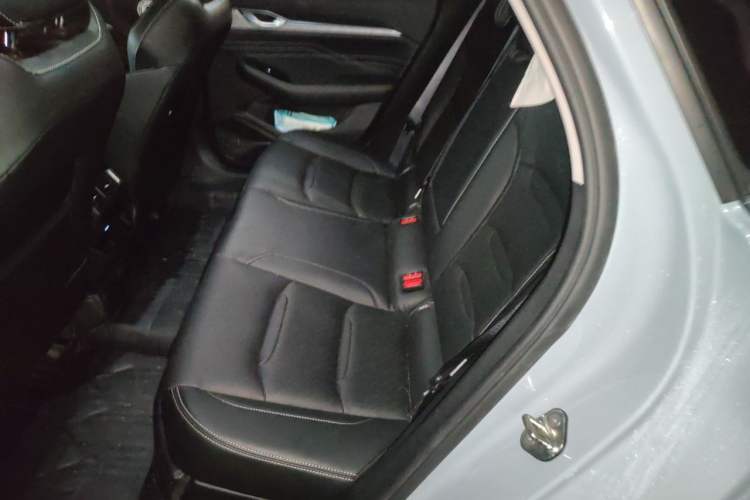 Used Geely Auto Preface 2023 2.0TD Luxury Version Left Rear Seat