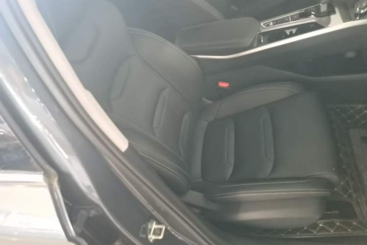 Used Geely Auto Preface 2023 2.0TD Luxury Version Right Front Seat