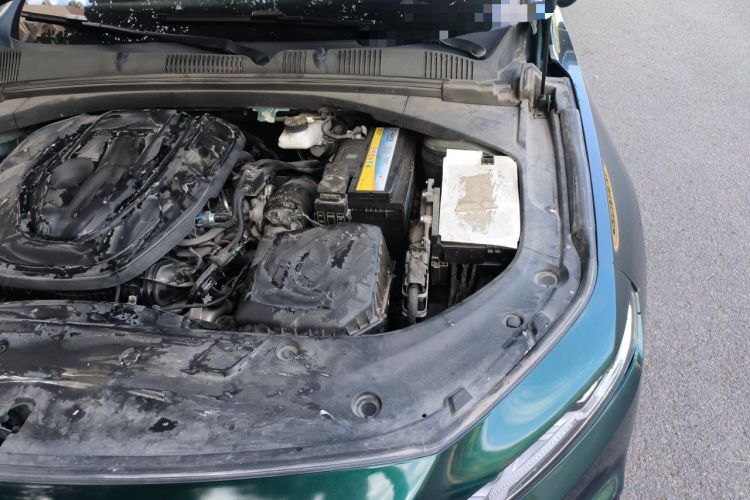 Used Geely Auto Preface 2023 2.0TD "Only This Verdant Green" Edition Engine Bay Left