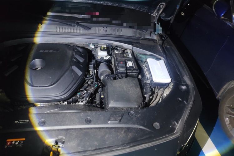 Used Geely Auto Preface 2023 2.0TD "Only This Verdant Green" Edition Engine Bay Left