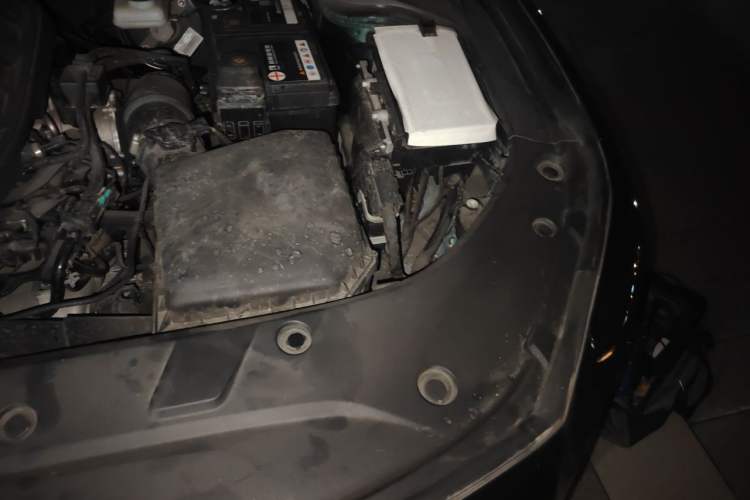 Used Geely Auto Preface 2023 2.0TD "Only This Verdant Green" Edition Engine Bay Left