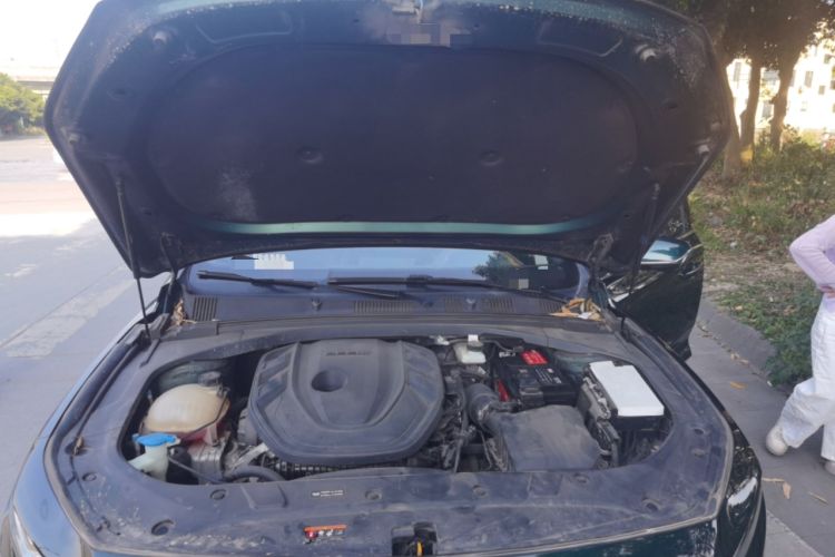 Used Geely Auto Preface 2023 2.0TD "Only This Verdant Green" Edition Engine Bay
