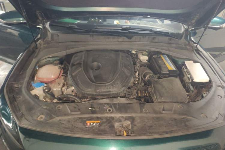 Used Geely Auto Preface 2023 2.0TD "Only This Verdant Green" Edition Engine Bay