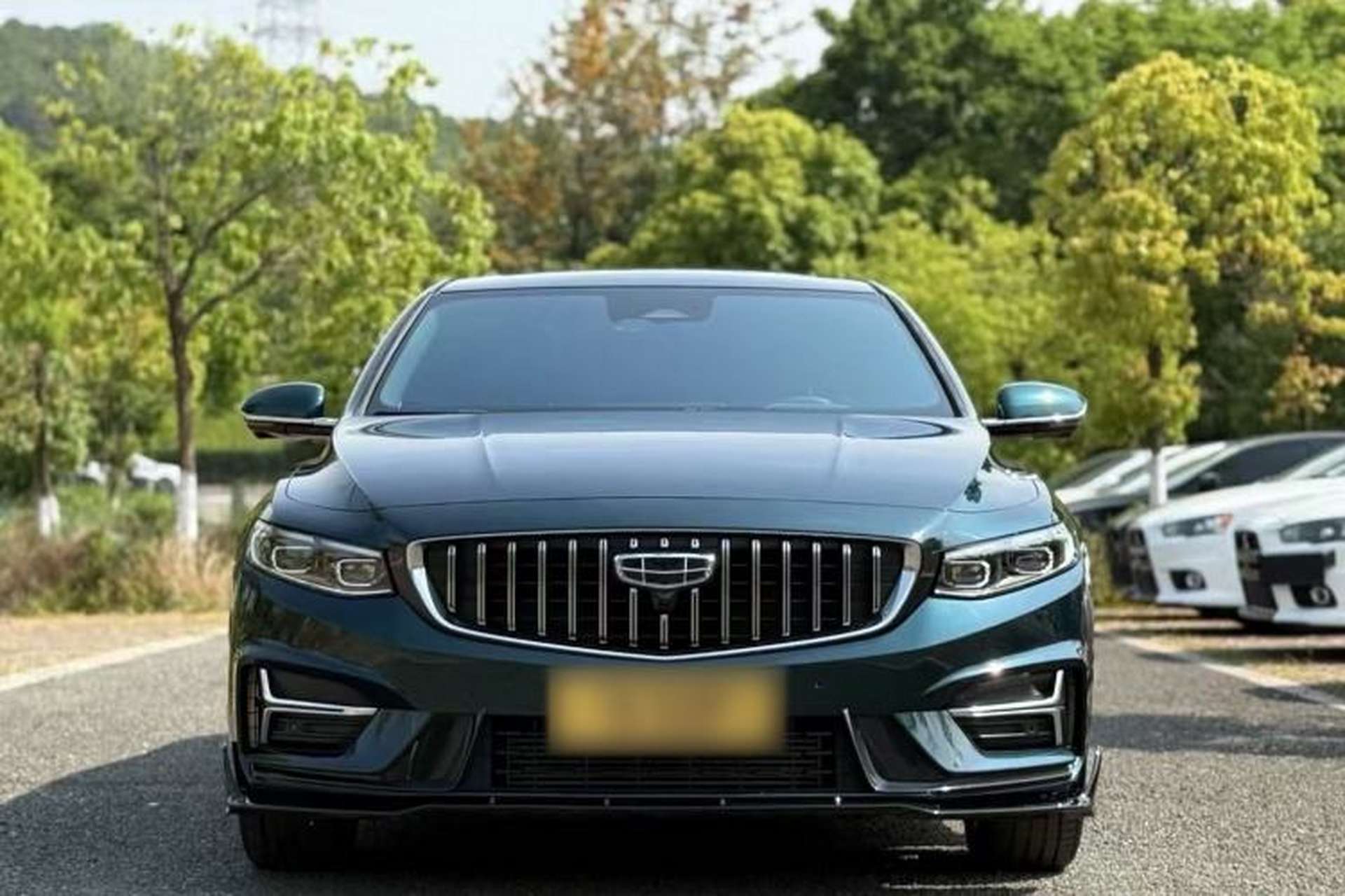 Used Geely Auto Preface 2023 2.0TD "Only This Verdant Green" Edition Exterior 4