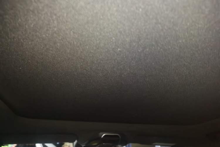 Used Geely Auto Preface 2023 2.0TD "Only This Verdant Green" Edition Headliner