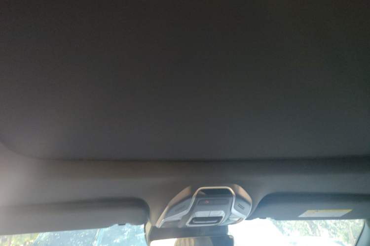 Used Geely Auto Preface 2023 2.0TD "Only This Verdant Green" Edition Headliner