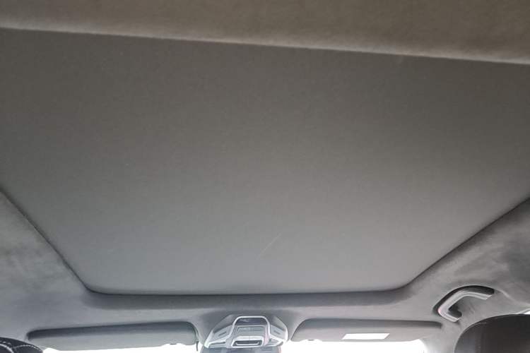 Used Geely Auto Preface 2023 2.0TD "Only This Verdant Green" Edition Headliner