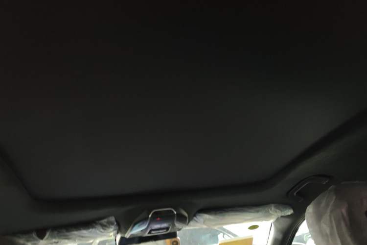 Used Geely Auto Preface 2023 2.0TD "Only This Verdant Green" Edition Headliner