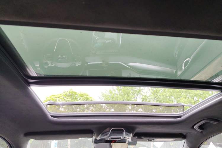 Used Geely Auto Preface 2023 2.0TD "Only This Verdant Green" Edition Headliner