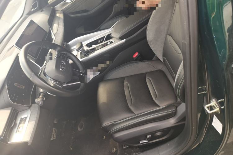 Used Geely Auto Preface 2023 2.0TD "Only This Verdant Green" Edition Left Front Seat