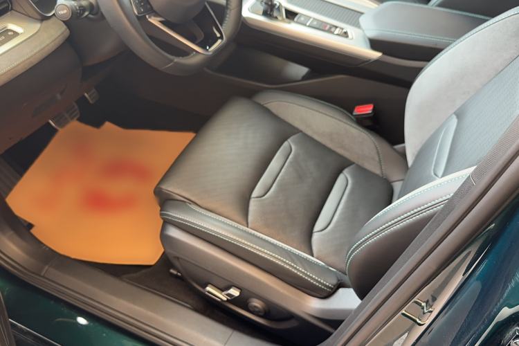 Used Geely Auto Preface 2023 2.0TD "Only This Verdant Green" Edition Left Front Seat