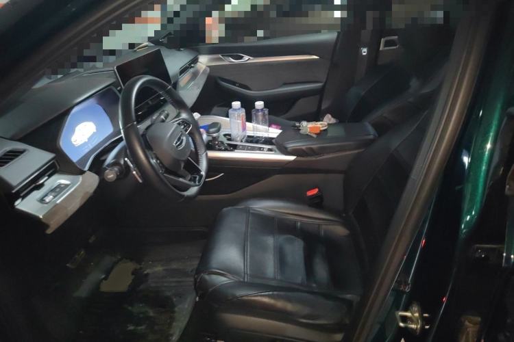 Used Geely Auto Preface 2023 2.0TD "Only This Verdant Green" Edition Left Front Seat