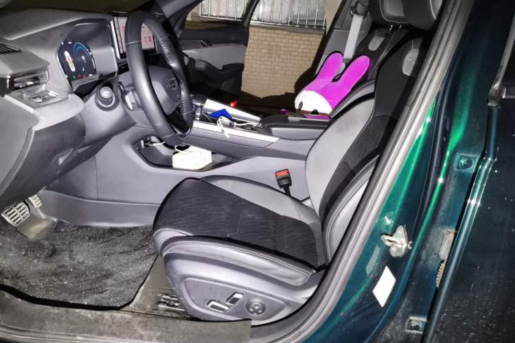Used Geely Auto Preface 2023 2.0TD "Only This Verdant Green" Edition Left Front Seat