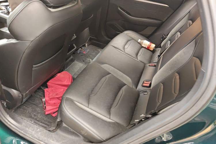 Used Geely Auto Preface 2023 2.0TD "Only This Verdant Green" Edition Left Rear Seat