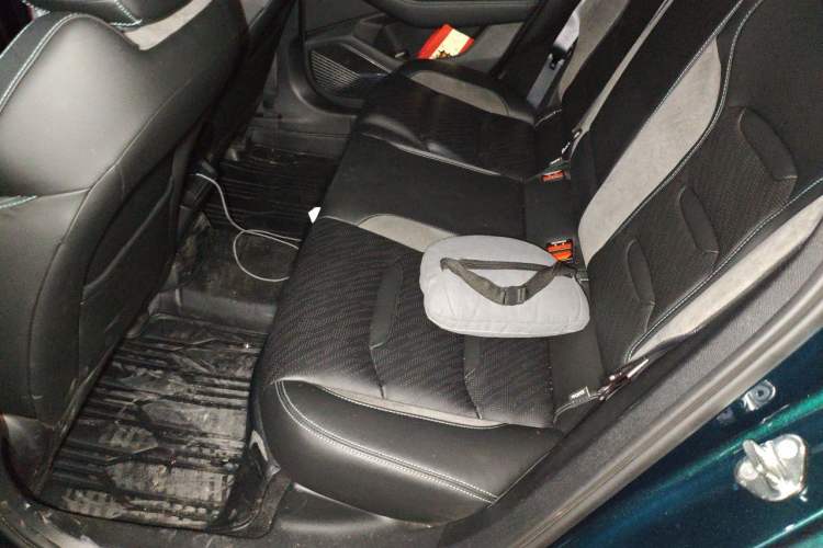 Used Geely Auto Preface 2023 2.0TD "Only This Verdant Green" Edition Left Rear Seat