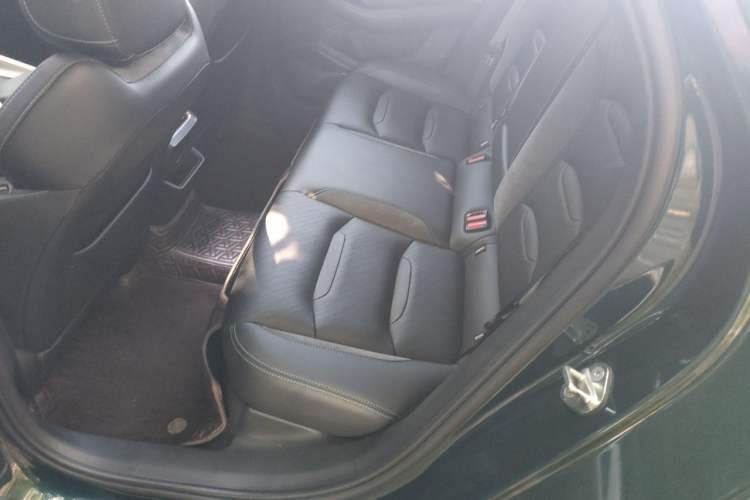 Used Geely Auto Preface 2023 2.0TD "Only This Verdant Green" Edition Left Rear Seat