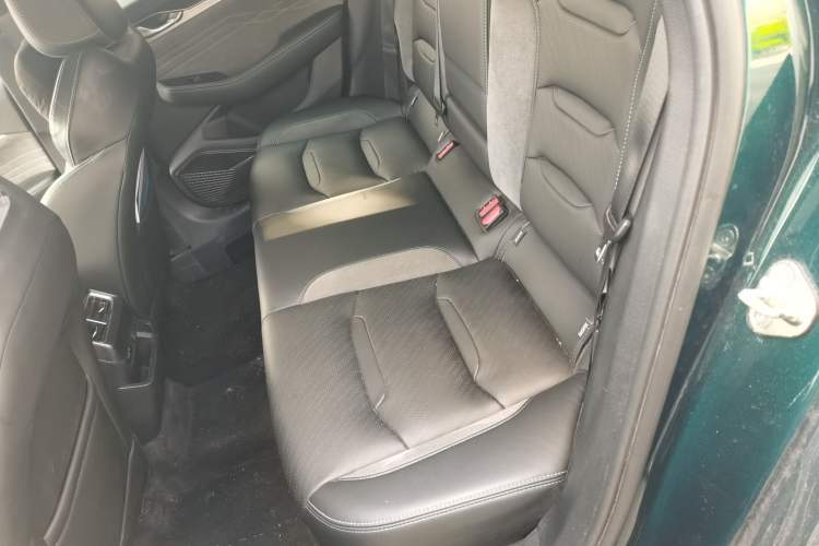 Used Geely Auto Preface 2023 2.0TD "Only This Verdant Green" Edition Left Rear Seat