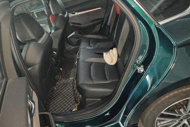 Used Geely Auto Preface 2023 2.0TD "Only This Verdant Green" Edition Left Rear Seat