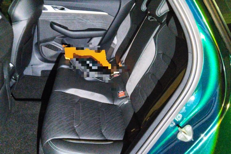 Used Geely Auto Preface 2023 2.0TD "Only This Verdant Green" Edition Left Rear Seat