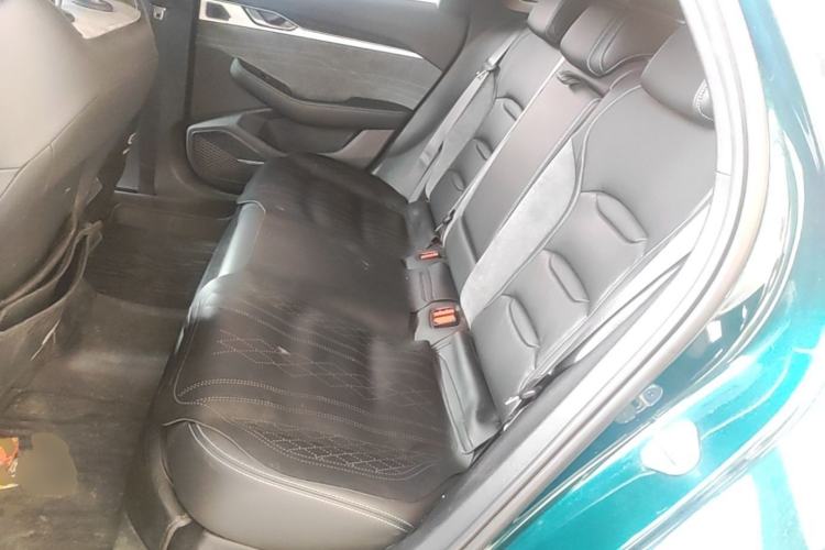 Used Geely Auto Preface 2023 2.0TD "Only This Verdant Green" Edition Left Rear Seat