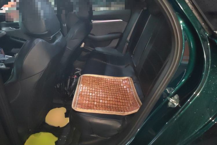 Used Geely Auto Preface 2023 2.0TD "Only This Verdant Green" Edition Left Rear Seat
