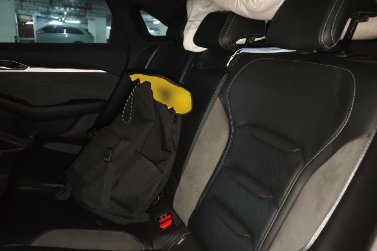Used Geely Auto Preface 2023 2.0TD "Only This Verdant Green" Edition Left Rear Seat