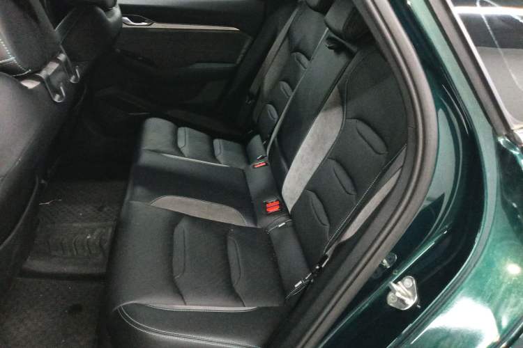 Used Geely Auto Preface 2023 2.0TD "Only This Verdant Green" Edition Left Rear Seat