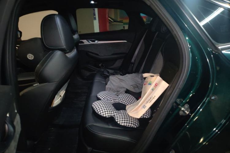 Used Geely Auto Preface 2023 2.0TD "Only This Verdant Green" Edition Left Rear Seat