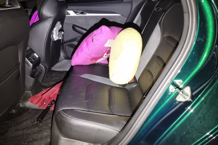 Used Geely Auto Preface 2023 2.0TD "Only This Verdant Green" Edition Left Rear Seat