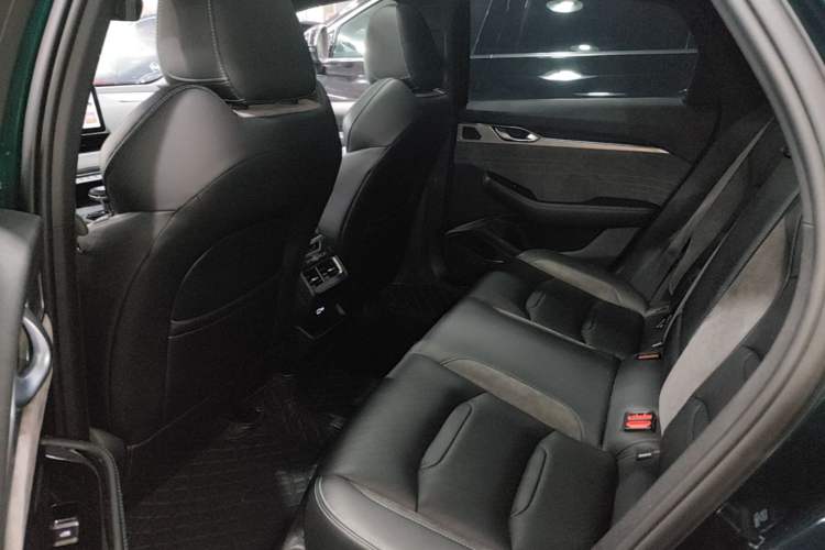 Used Geely Auto Preface 2023 2.0TD "Only This Verdant Green" Edition Left Rear Seat