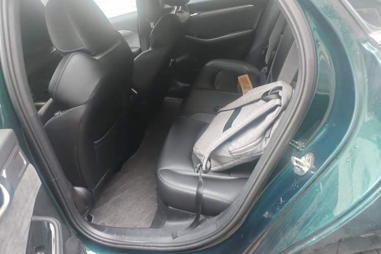 Used Geely Auto Preface 2023 2.0TD "Only This Verdant Green" Edition Left Rear Seat