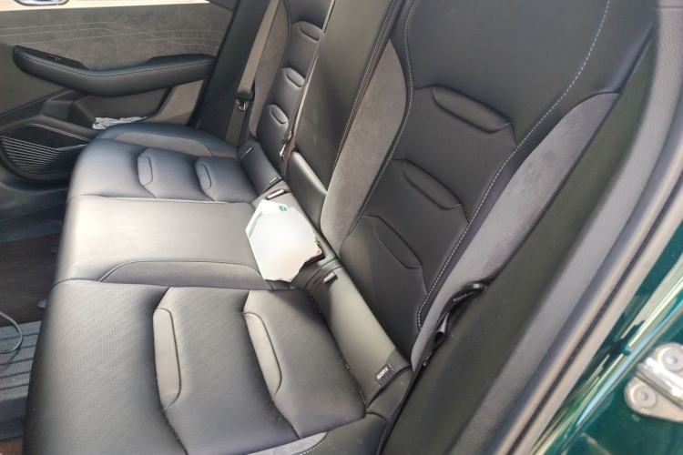 Used Geely Auto Preface 2023 2.0TD "Only This Verdant Green" Edition Left Rear Seat