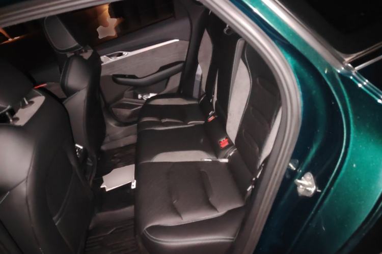 Used Geely Auto Preface 2023 2.0TD "Only This Verdant Green" Edition Left Rear Seat