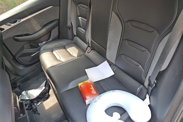 Used Geely Auto Preface 2023 2.0TD "Only This Verdant Green" Edition Left Rear Seat