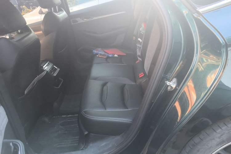 Used Geely Auto Preface 2023 2.0TD "Only This Verdant Green" Edition Left Rear Seat