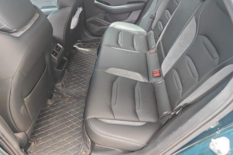 Used Geely Auto Preface 2023 2.0TD "Only This Verdant Green" Edition Left Rear Seat