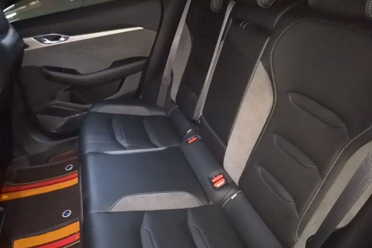 Used Geely Auto Preface 2023 2.0TD "Only This Verdant Green" Edition Left Rear Seat