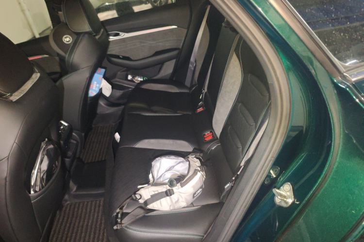 Used Geely Auto Preface 2023 2.0TD "Only This Verdant Green" Edition Left Rear Seat