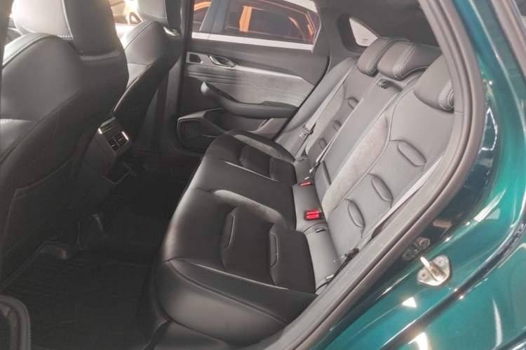 Used Geely Auto Preface 2023 2.0TD "Only This Verdant Green" Edition Left Rear Seat