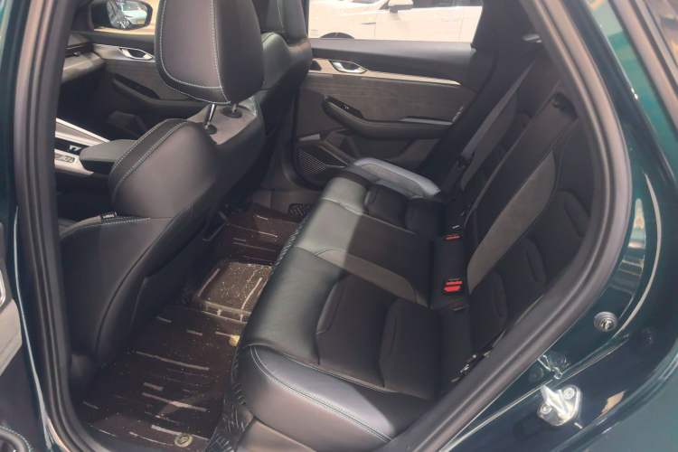 Used Geely Auto Preface 2023 2.0TD "Only This Verdant Green" Edition Left Rear Seat