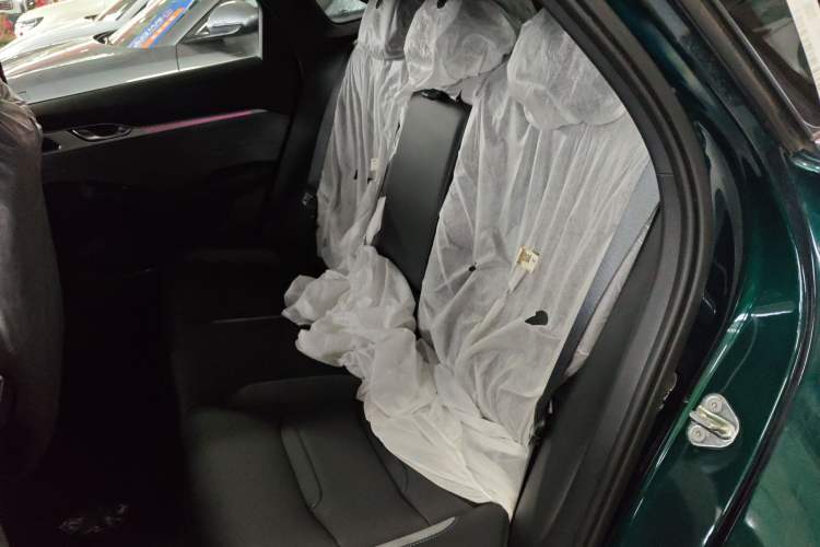 Used Geely Auto Preface 2023 2.0TD "Only This Verdant Green" Edition Left Rear Seat