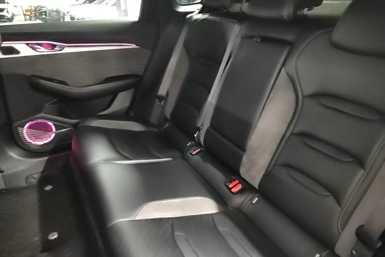 Used Geely Auto Preface 2023 2.0TD "Only This Verdant Green" Edition Left Rear Seat