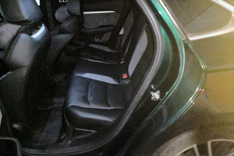 Used Geely Auto Preface 2023 2.0TD "Only This Verdant Green" Edition Left Rear Seat