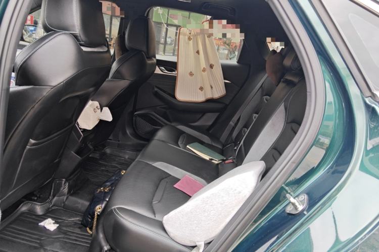 Used Geely Auto Preface 2023 2.0TD "Only This Verdant Green" Edition Left Rear Seat
