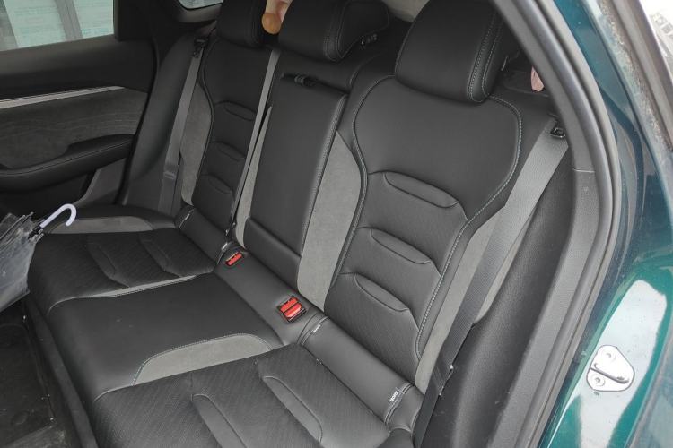 Used Geely Auto Preface 2023 2.0TD "Only This Verdant Green" Edition Left Rear Seat