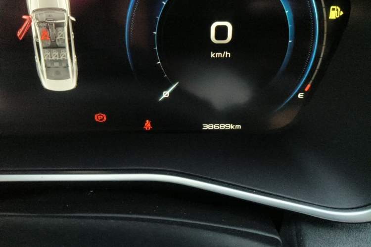 Used Geely Auto Preface 2023 2.0TD "Only This Verdant Green" Edition Odometer Close Up