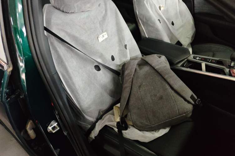 Used Geely Auto Preface 2023 2.0TD "Only This Verdant Green" Edition Right Front Seat