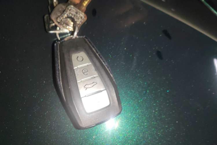 Used Geely Auto Preface 2023 2.0TD "Only This Verdant Green" Edition Vehicle Key