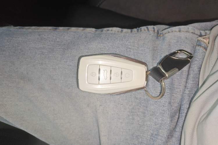 Used Geely Auto Preface 2023 2.0TD "Only This Verdant Green" Edition Vehicle Key